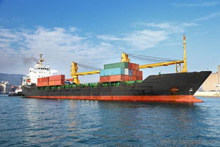 上海天津深圳进口食品海运,进口国际货运价格 厂家 图片